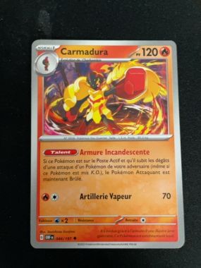 Aperçu collection